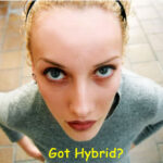 Got Hybrid campaign promo